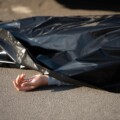 close-up view of corpse on road after traffic collision