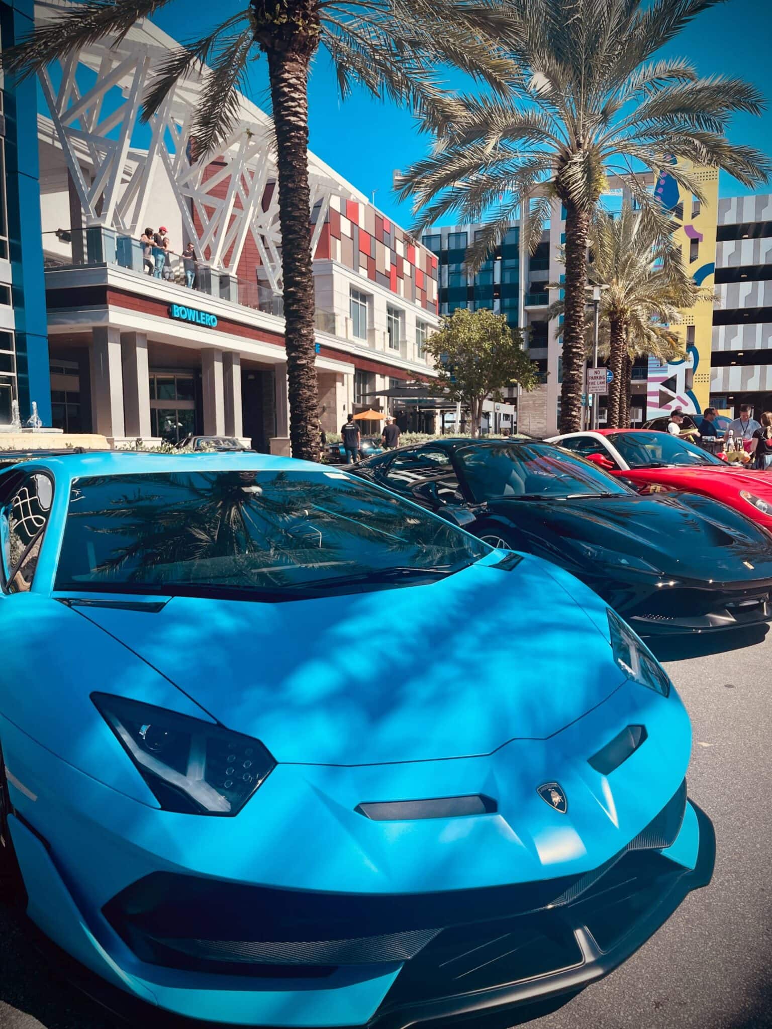 Exotics 2022 - IMG_1824