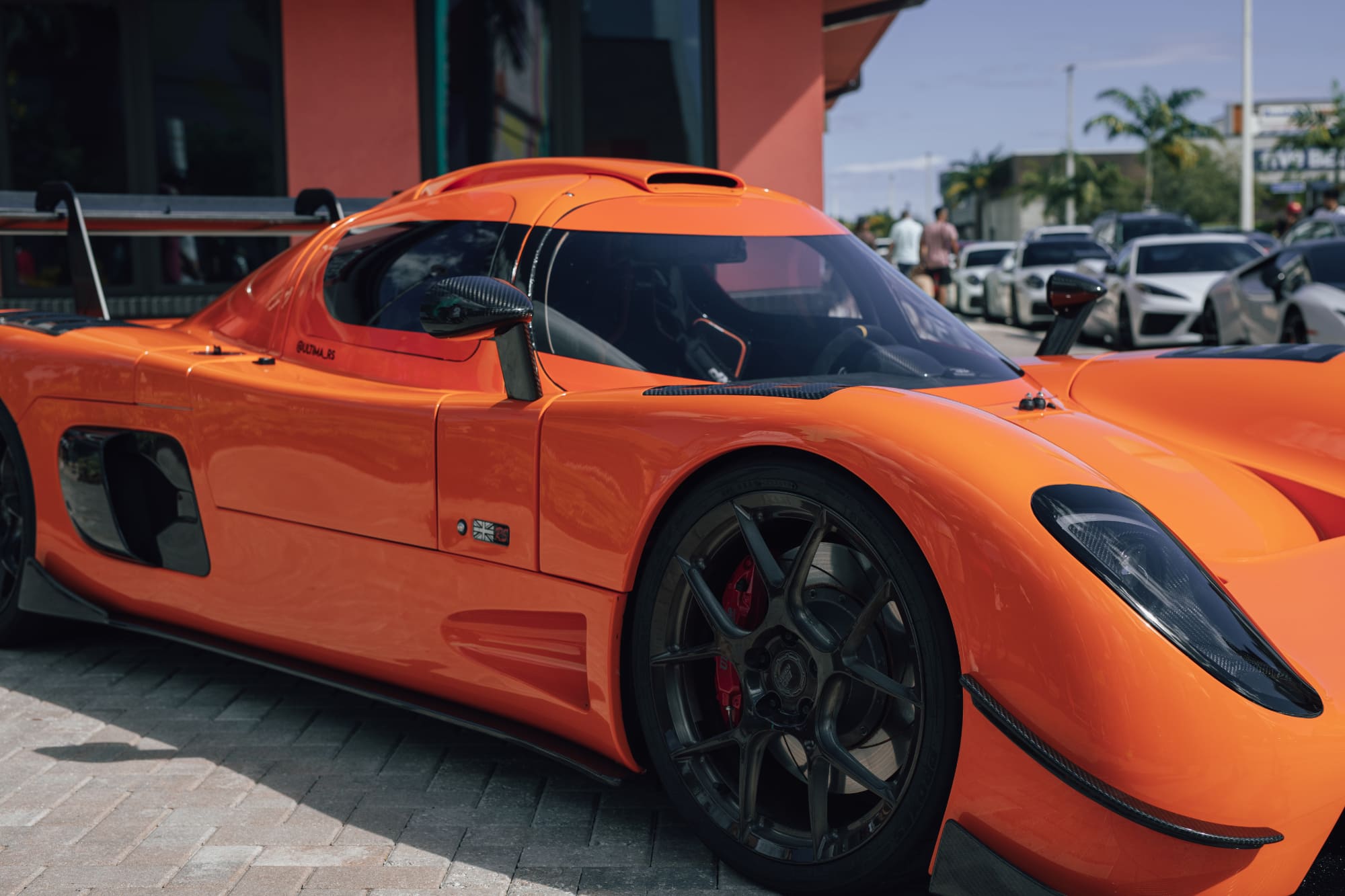 Exotics 2022 - Ultima_rs CW5A2100