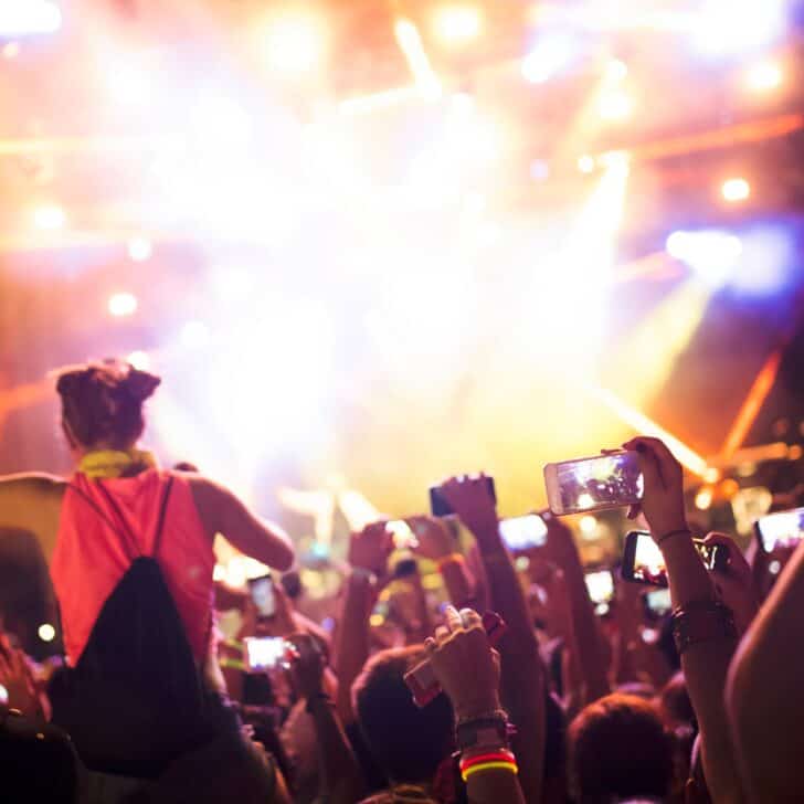 Portrait of happy crowd enjoying at music festival
