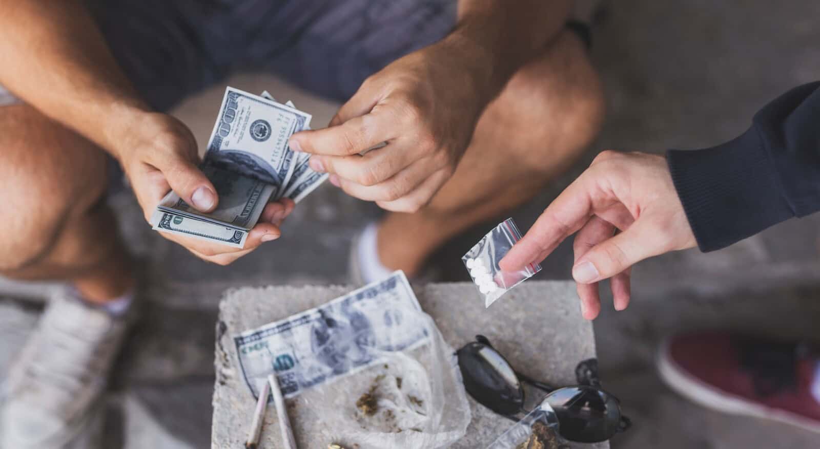revised drug trafficking laws in Florida