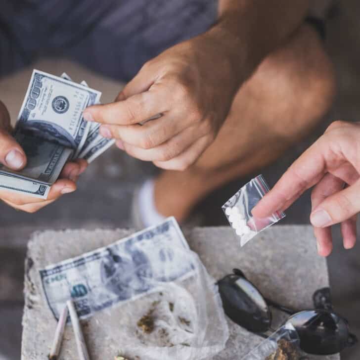 revised drug trafficking laws in Florida